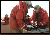 Gene Galinat (far left) supervises while Rick Zimbelman and Denny Bohls measure, tag, and clip a fin on a captured walleye at Orman Dam. Nancy Smidt documented the necessary information.