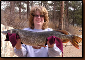 What a catch while ice fishing at Wagner Lake.