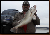Caught by Cleo Weiderich on  11-25-11 at Lewis and Clark. 30 1/2in  long 20in girth caught with 1/4oz. jig and minnow on 4lb. mono.