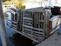 Clean up at Lake Sharpe.