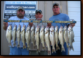 Late August, 2010 catch with Missouri Valley Guide Service.