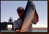 Salmon caught by Tim Forsch at Oahe, July 4th, 2010.